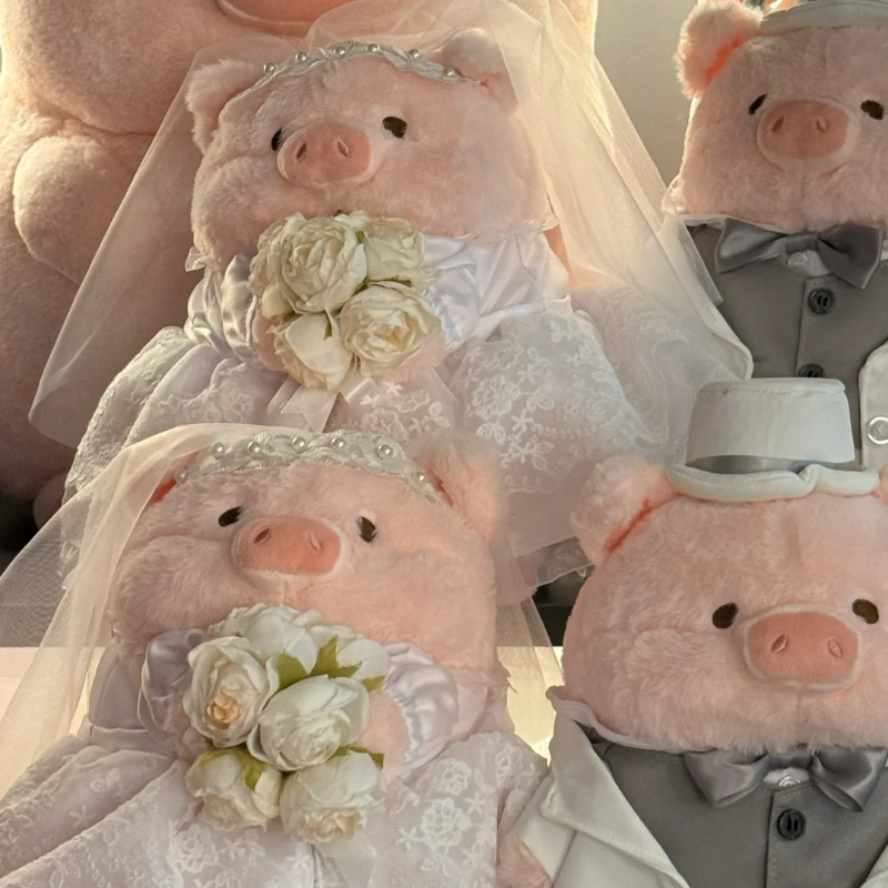 Lulu Het Piggy Ingeblikt Varke - Wedding Lulu recensie en prijs